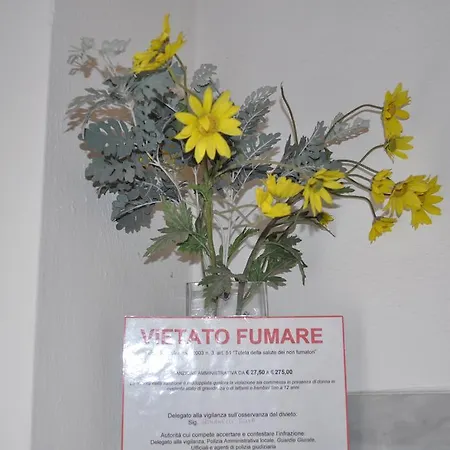 Elisa 게스트하우스 피사